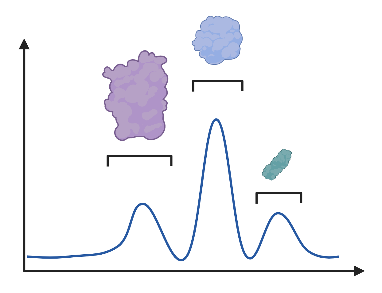 Bioinformatics Report